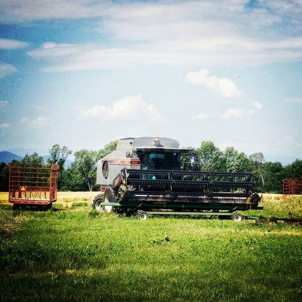 Combine and wagon in a field at Clemmons Family Farm