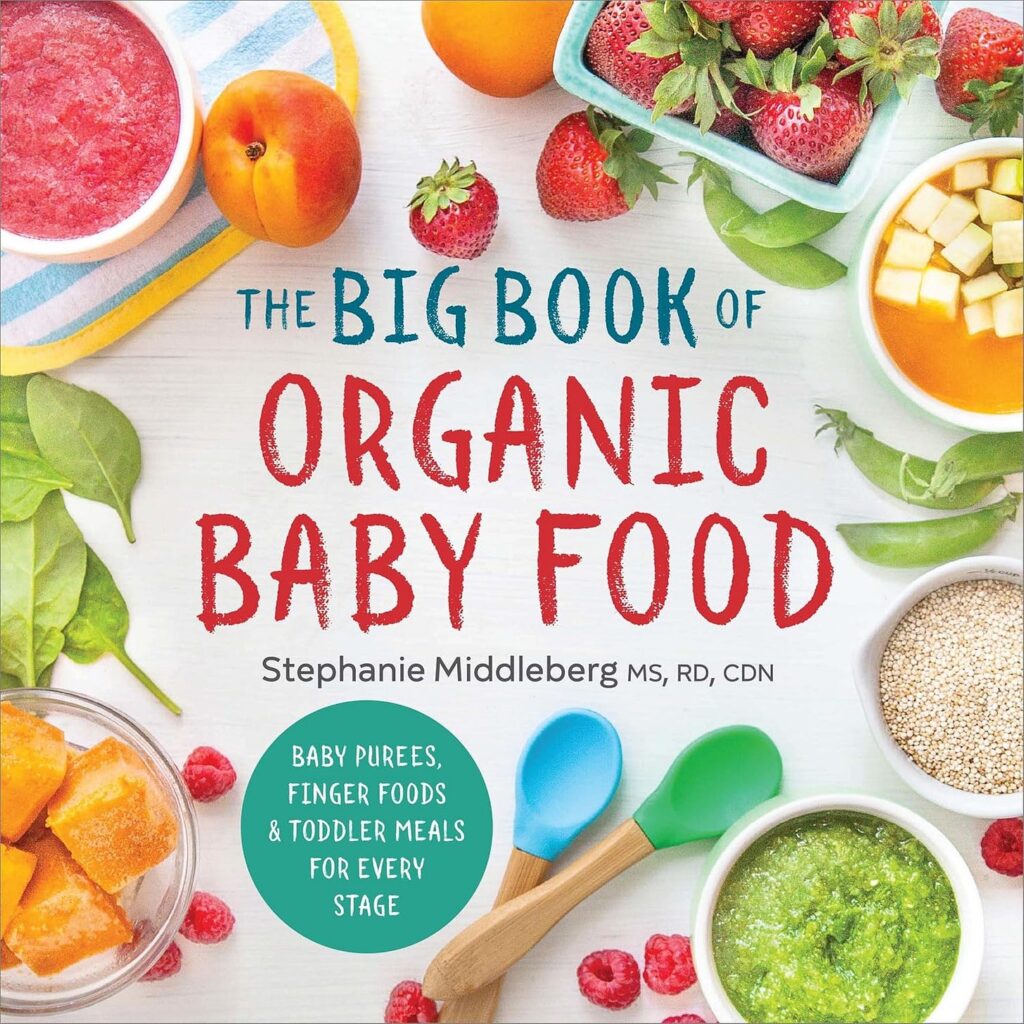 book cover of The Big Book of Organic Baby Food