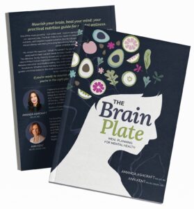 book cover of The Brain Plate